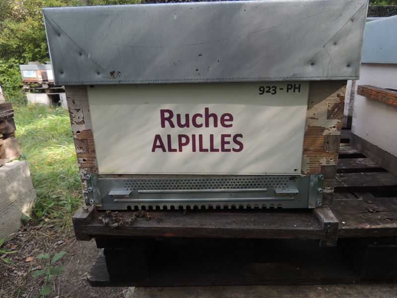 La ruche Alpilles