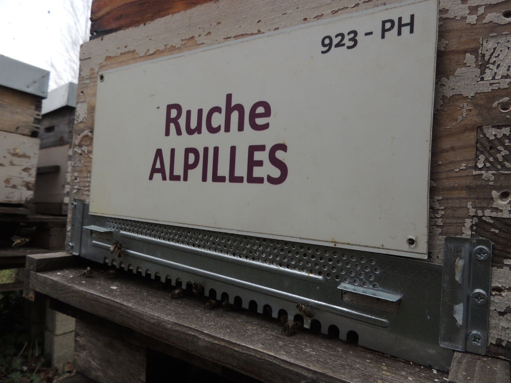 La ruche Alpilles