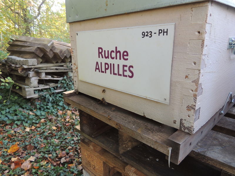 La ruche