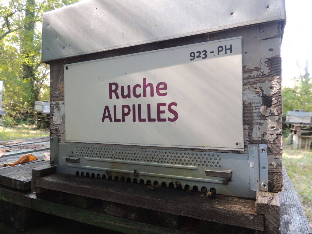 La ruche Alpilles