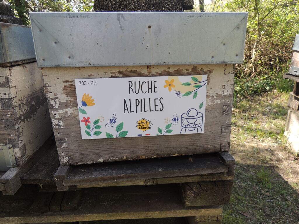 La ruche Alpilles