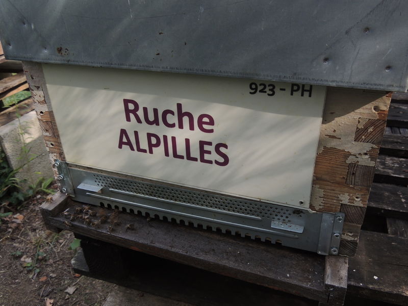 La ruche Alpilles