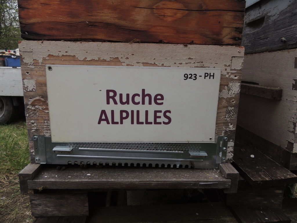 La ruche Alpilles