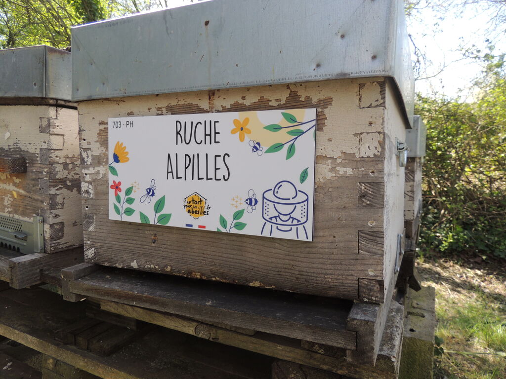 La ruche Alpilles
