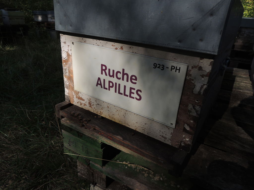 La ruche Alpilles