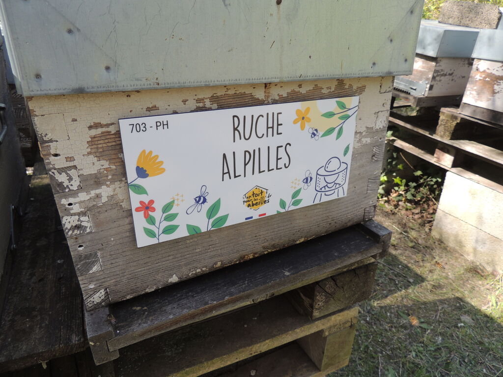 La ruche Alpilles