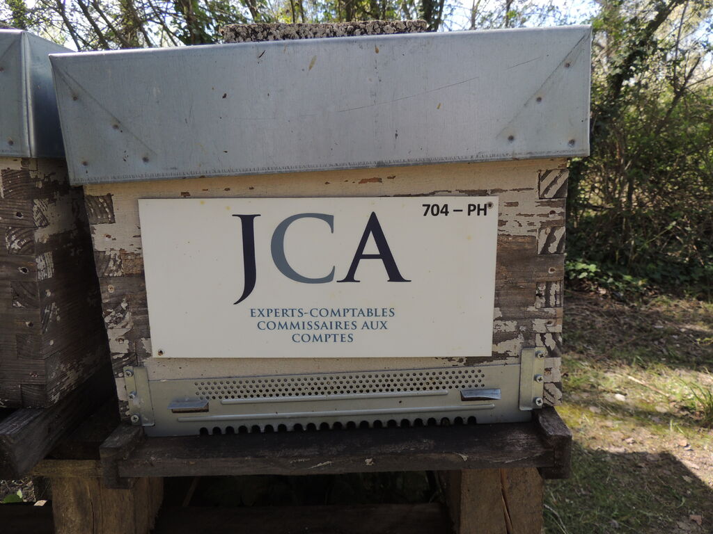 La ruche J CAUSSE ET ASSOCIES