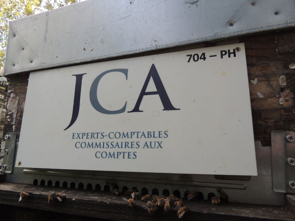 La ruche J CAUSSE ET ASSOCIES