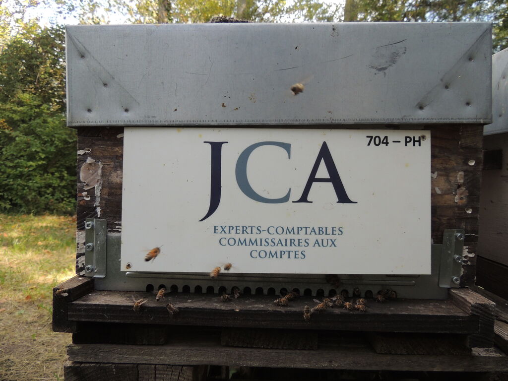 La ruche J CAUSSE ET ASSOCIES