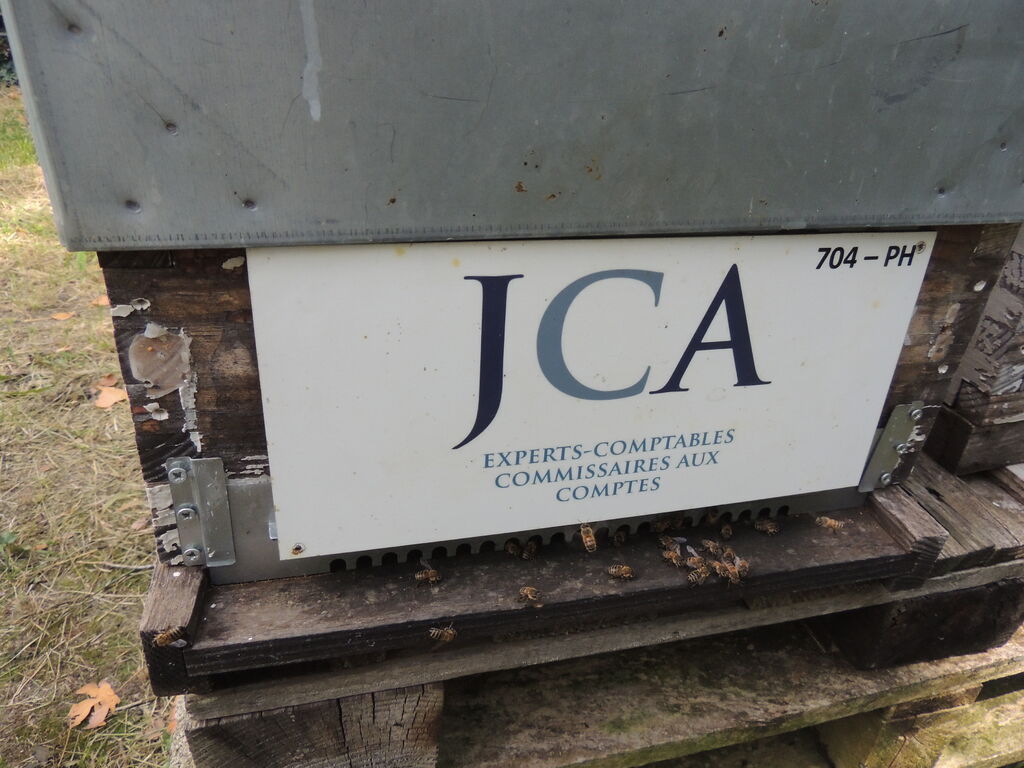 La ruche J CAUSSE ET ASSOCIES