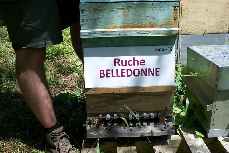La ruche Belledonne