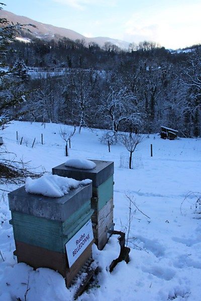 La ruche Belledonne
