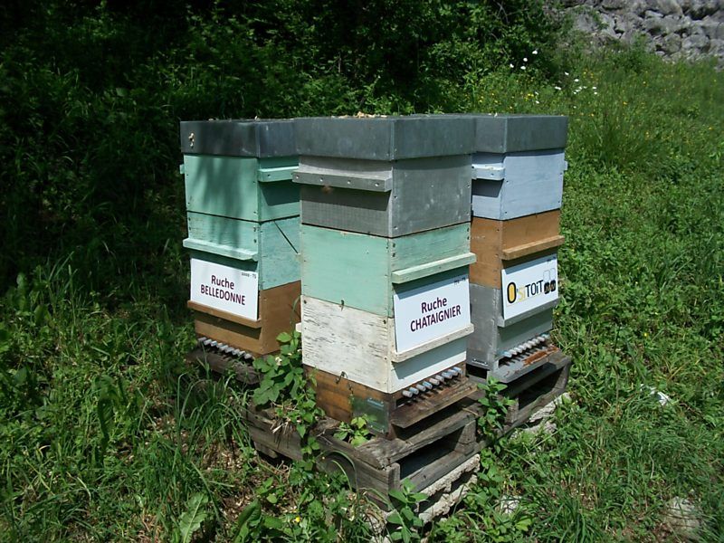 La ruche Belledonne