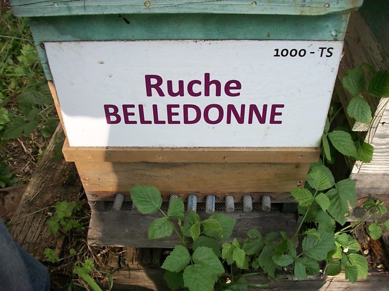 La ruche Belledonne