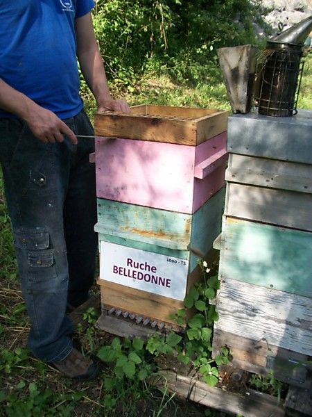 La ruche Belledonne