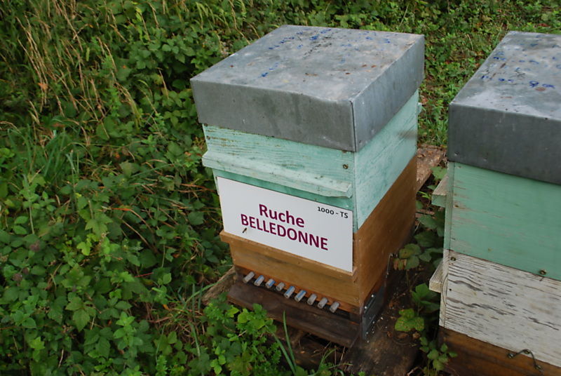 La ruche Belledonne