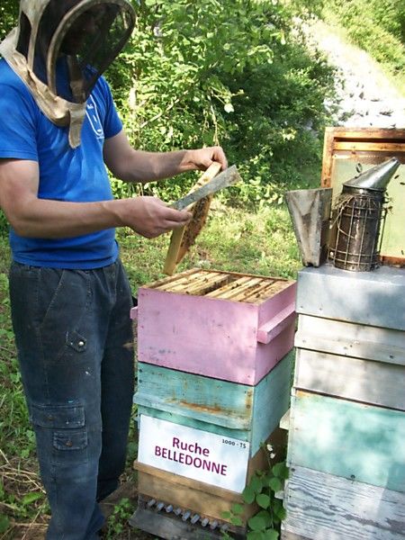 La ruche Belledonne