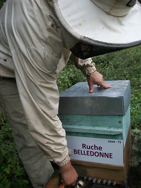 La ruche Belledonne