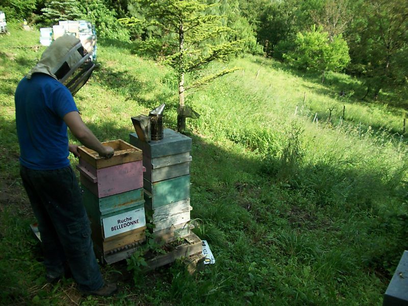 La ruche Belledonne