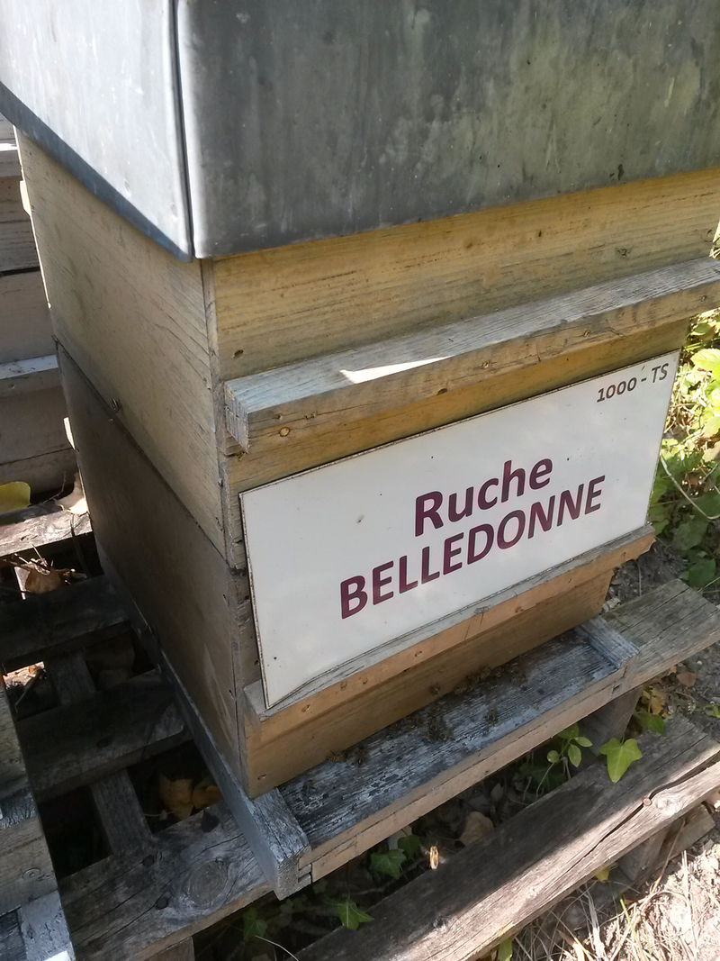 La ruche Belledonne