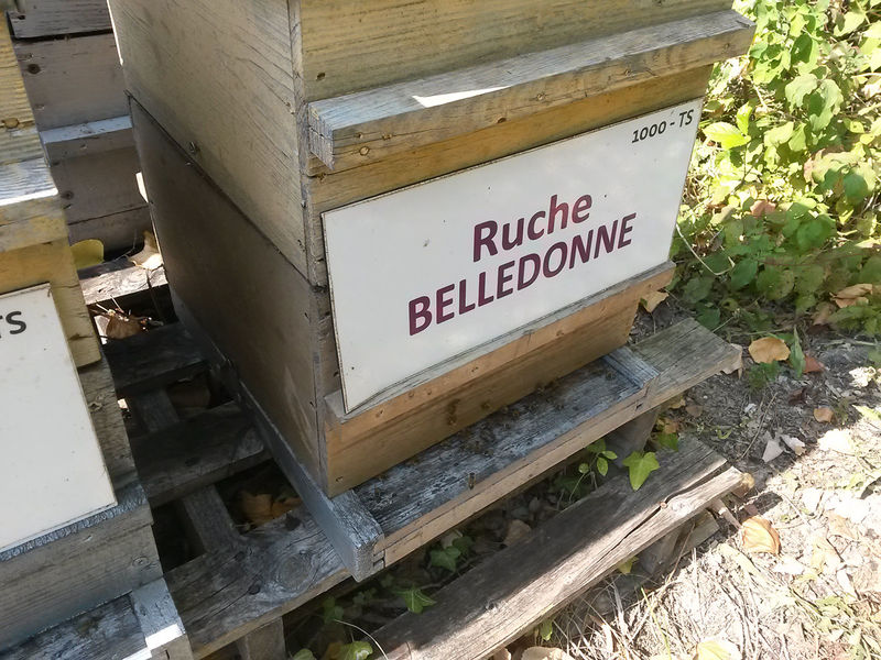 La ruche Belledonne