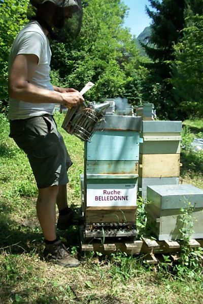 La ruche Belledonne