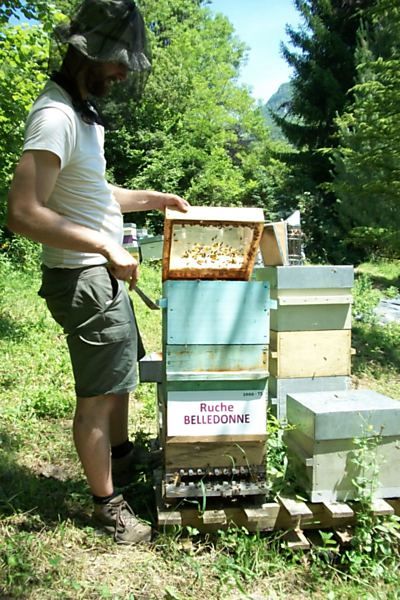 La ruche Belledonne