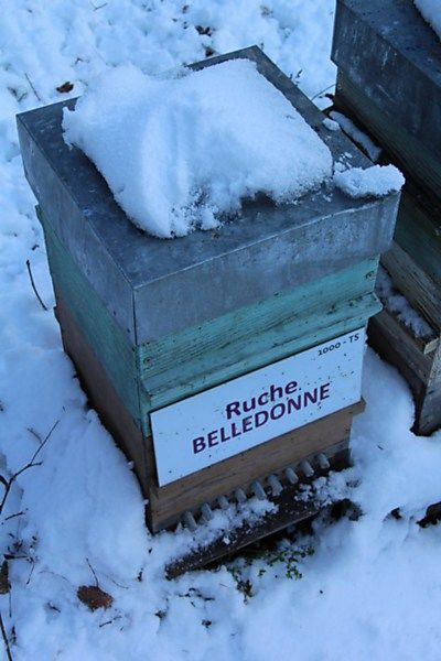 La ruche Belledonne