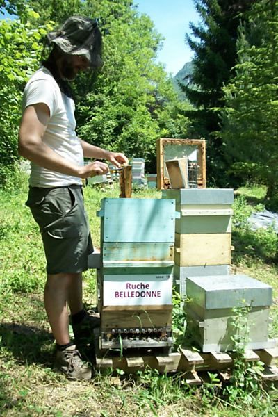 La ruche Belledonne