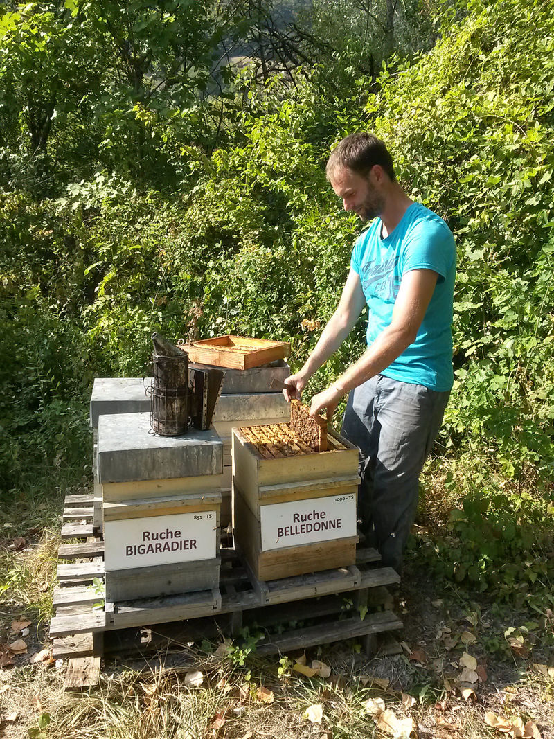 La ruche Belledonne
