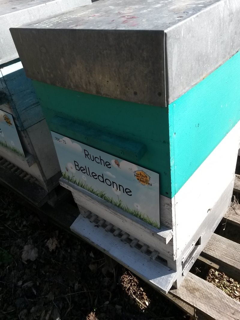 La ruche Belledonne