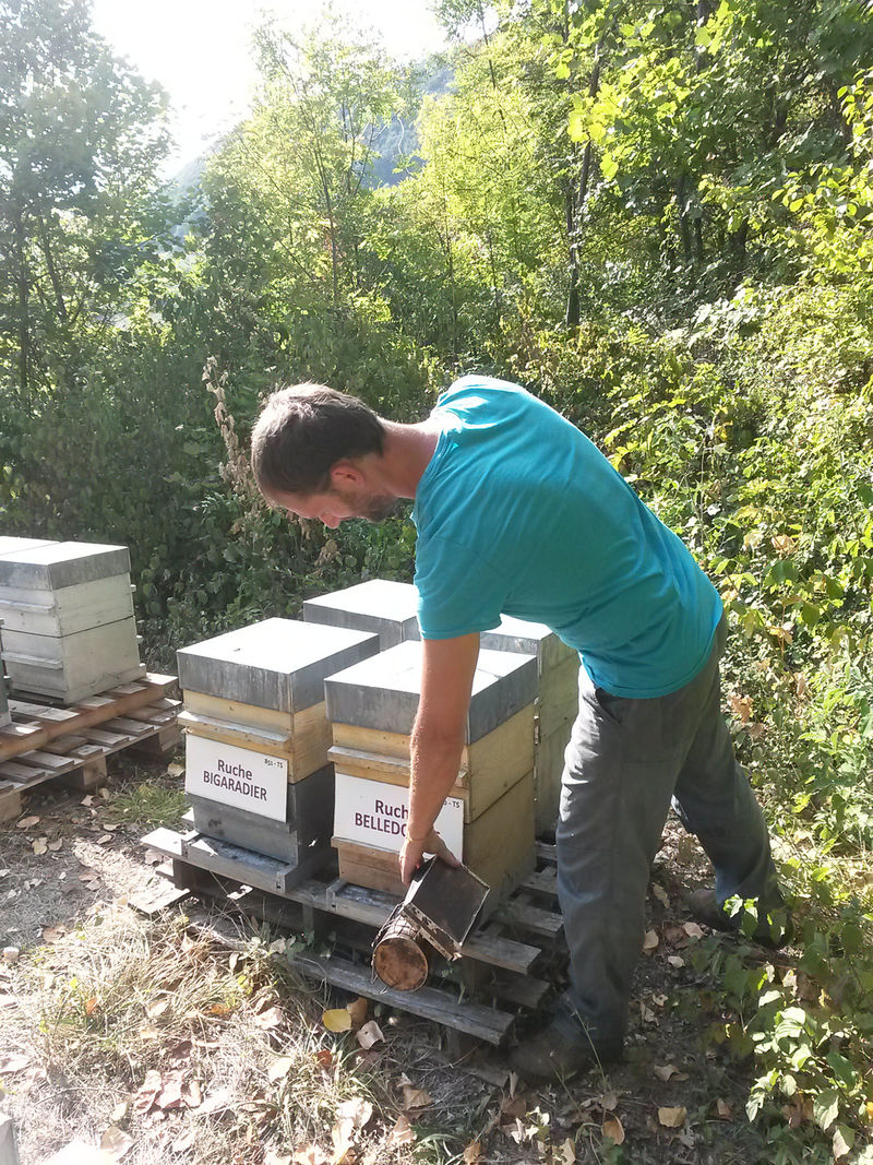 La ruche Belledonne