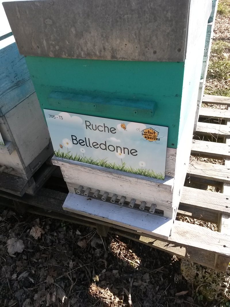 La ruche Belledonne