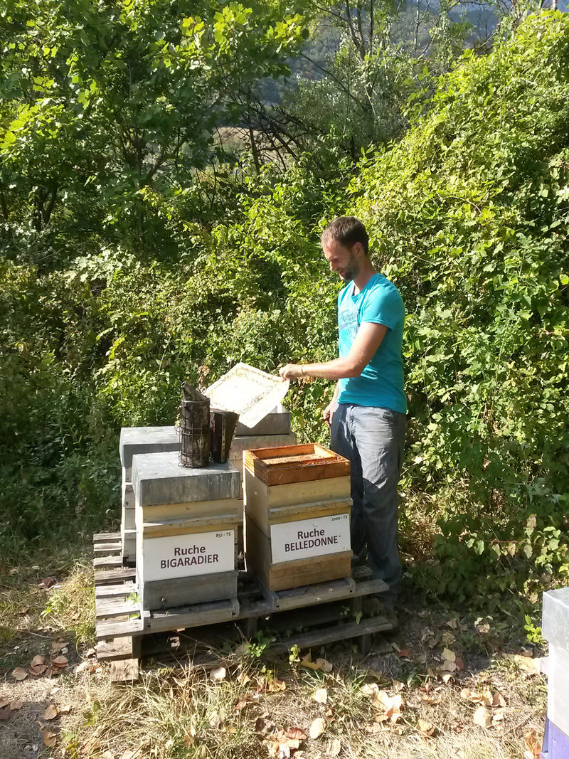 La ruche Belledonne