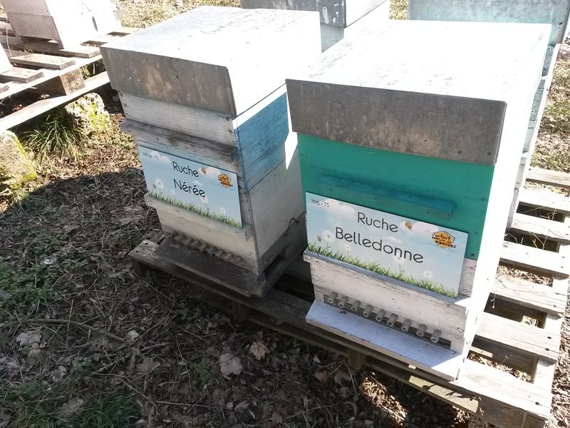 La ruche Belledonne