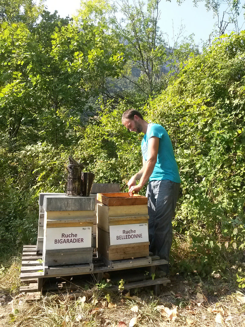La ruche Belledonne