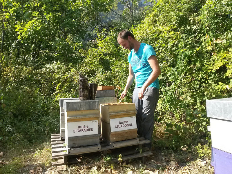 La ruche Belledonne