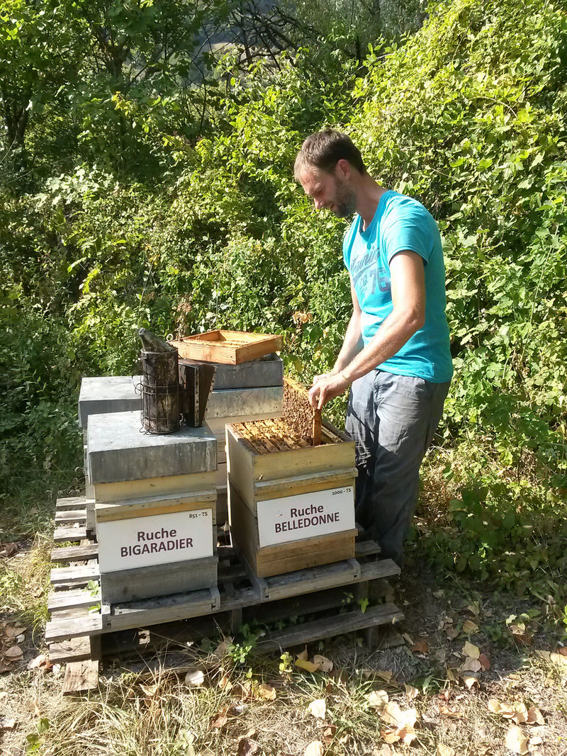 La ruche Belledonne