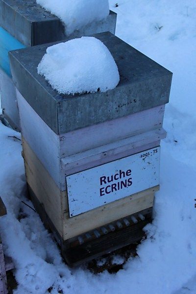 La ruche Ecrins