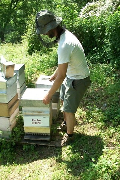 La ruche Ecrins
