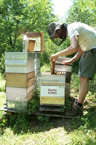 La ruche Ecrins