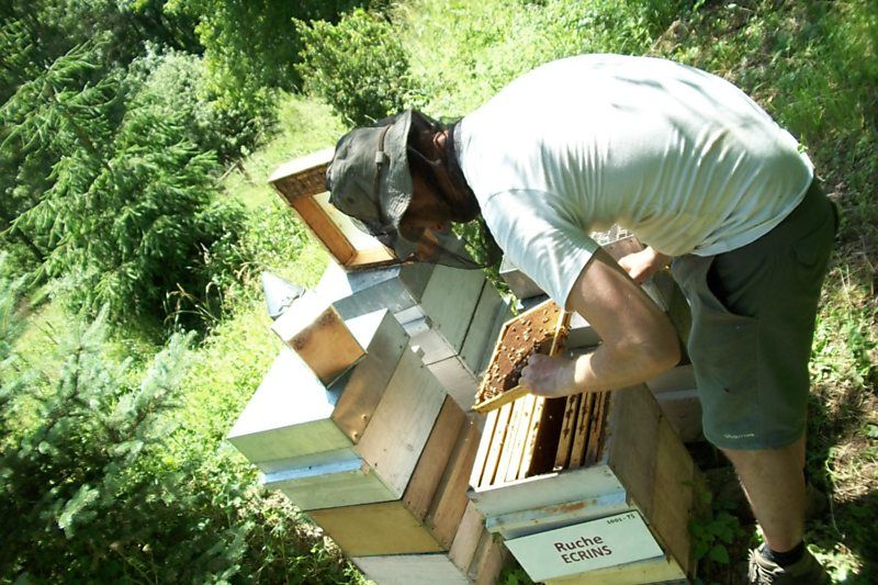 La ruche Ecrins