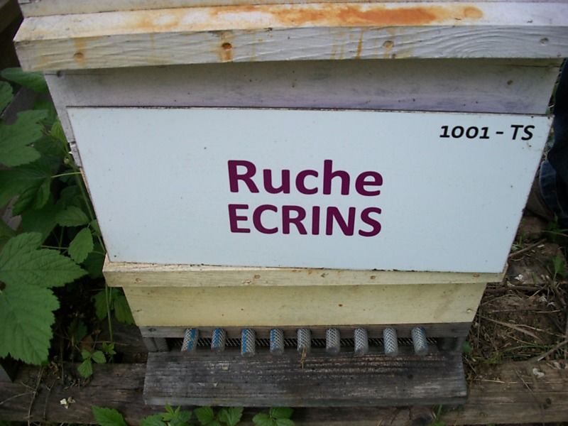 La ruche Ecrins