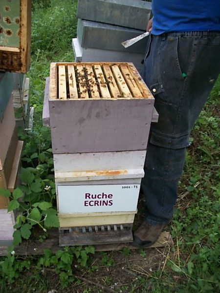 La ruche Ecrins