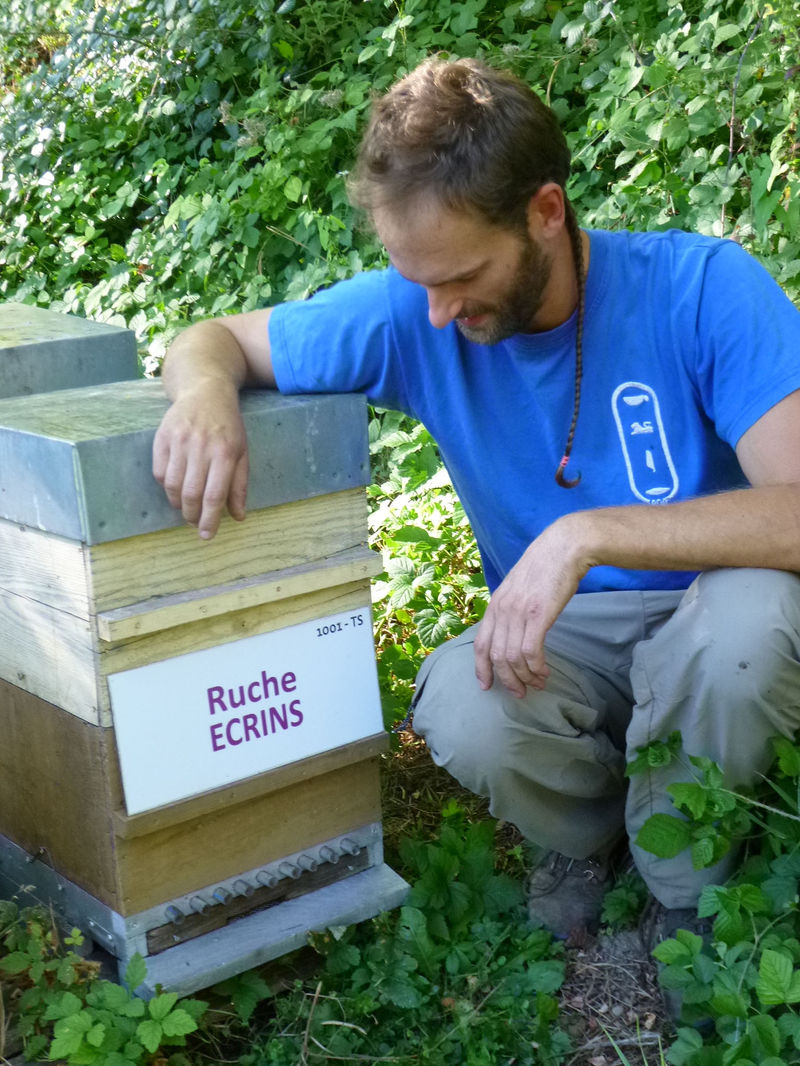 La ruche Ecrins