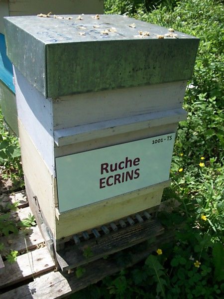 La ruche Ecrins