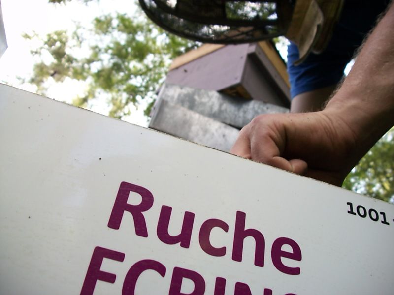 La ruche Ecrins