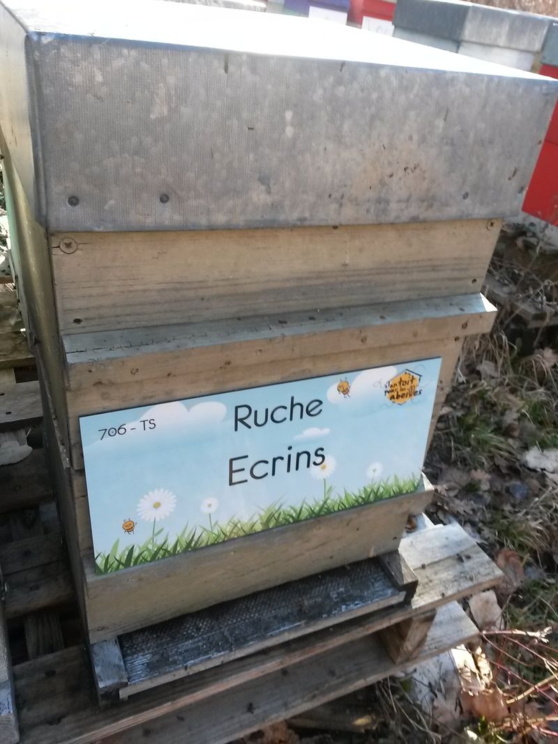 La ruche Ecrins