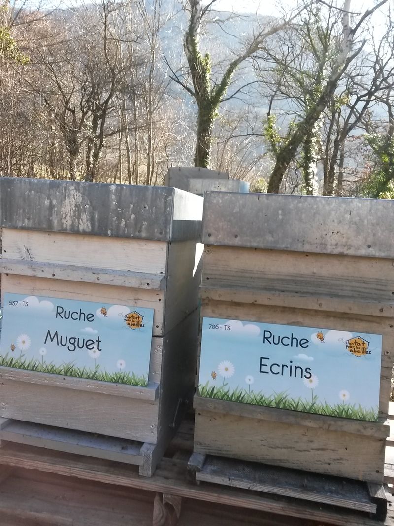 La ruche Ecrins