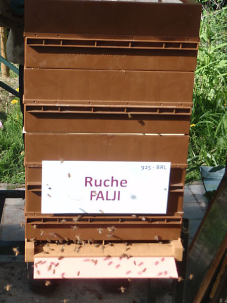 La ruche Falji